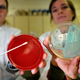 Illustration for article titled At long last, MRSA seems to be on the decline